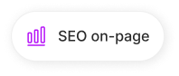 SEO Tag